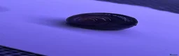 Snails fish for sale: Purple/Magenta Mystery Snails SHIPPING AVAILABLE - Advert 8