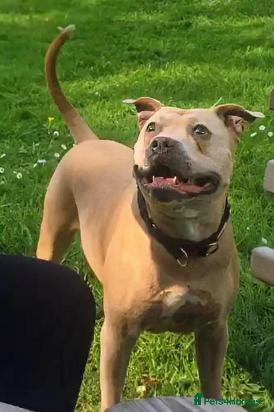 Gallery Image {{count}}