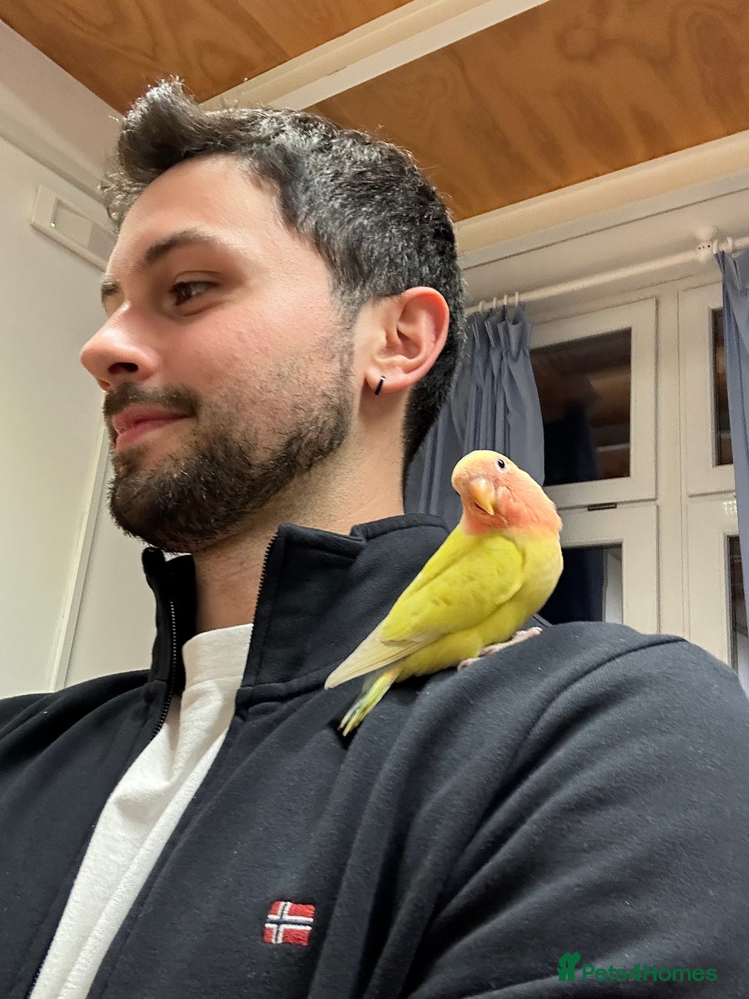 Gallery Image {{count}}