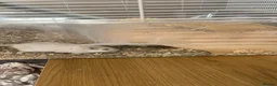 Gerbil rodents for sale: Two gerbils with cage  - Advert 2