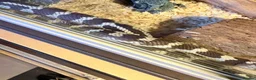 King Snake reptiles for sale: California King Snake + Enclosure set up in Northallerton - Advert 4
