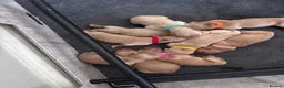 Golden Retriever dogs for sale: BEAUTIFUL GOLDEN RETRIEVER PUPPIES 🐾 in Hull - Advert 4