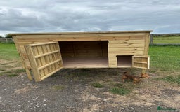 Chickens poultry for sale: Chicken Coops - excellent quality - British Made - Image 6