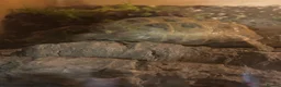 Tortoise reptiles for sale: 2 tortoise for rehoming  in Manchester - Advert 2