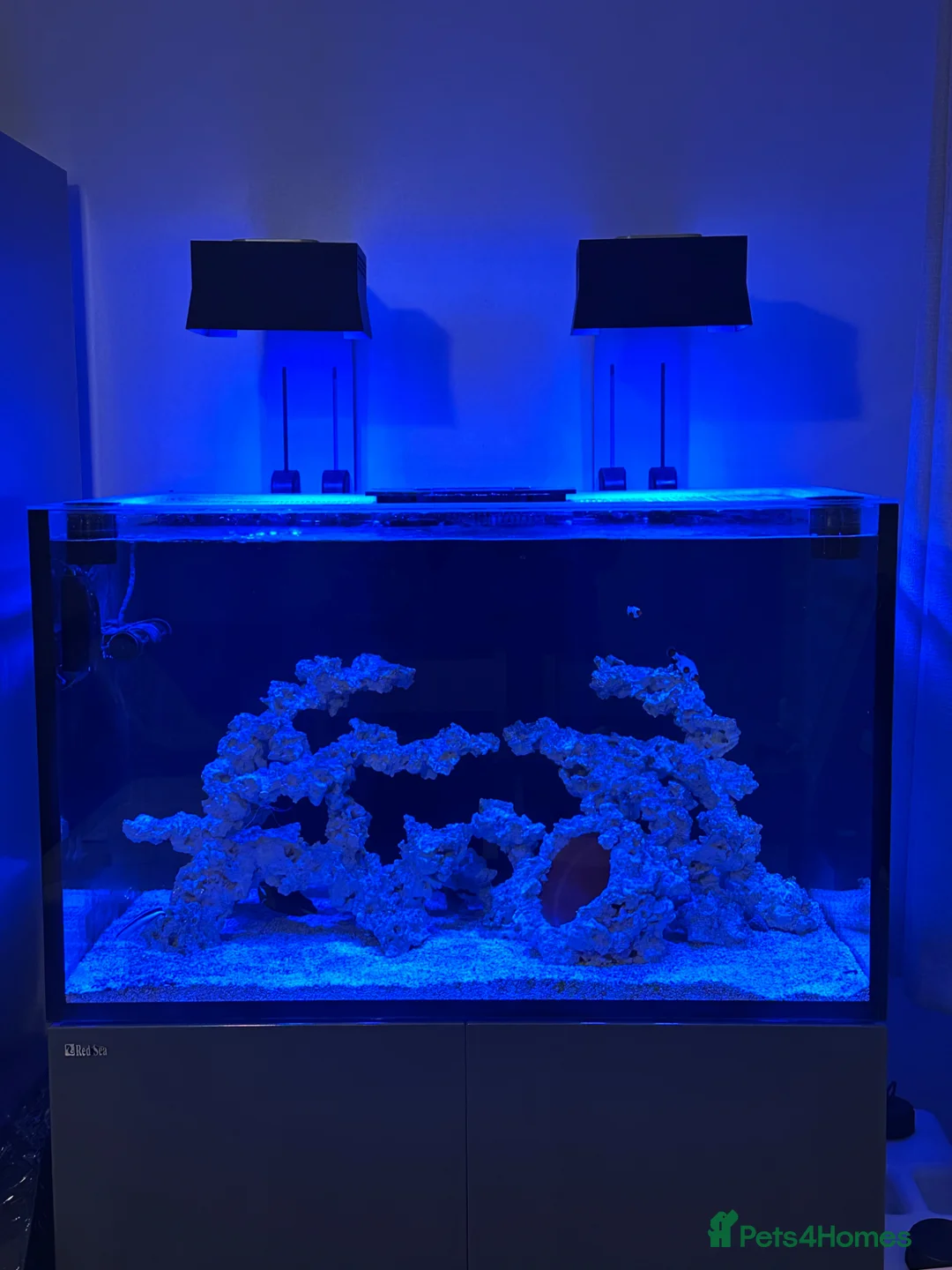 Bettas fish for sale: Red Sea reefer 300XL G2+ - Advert 1