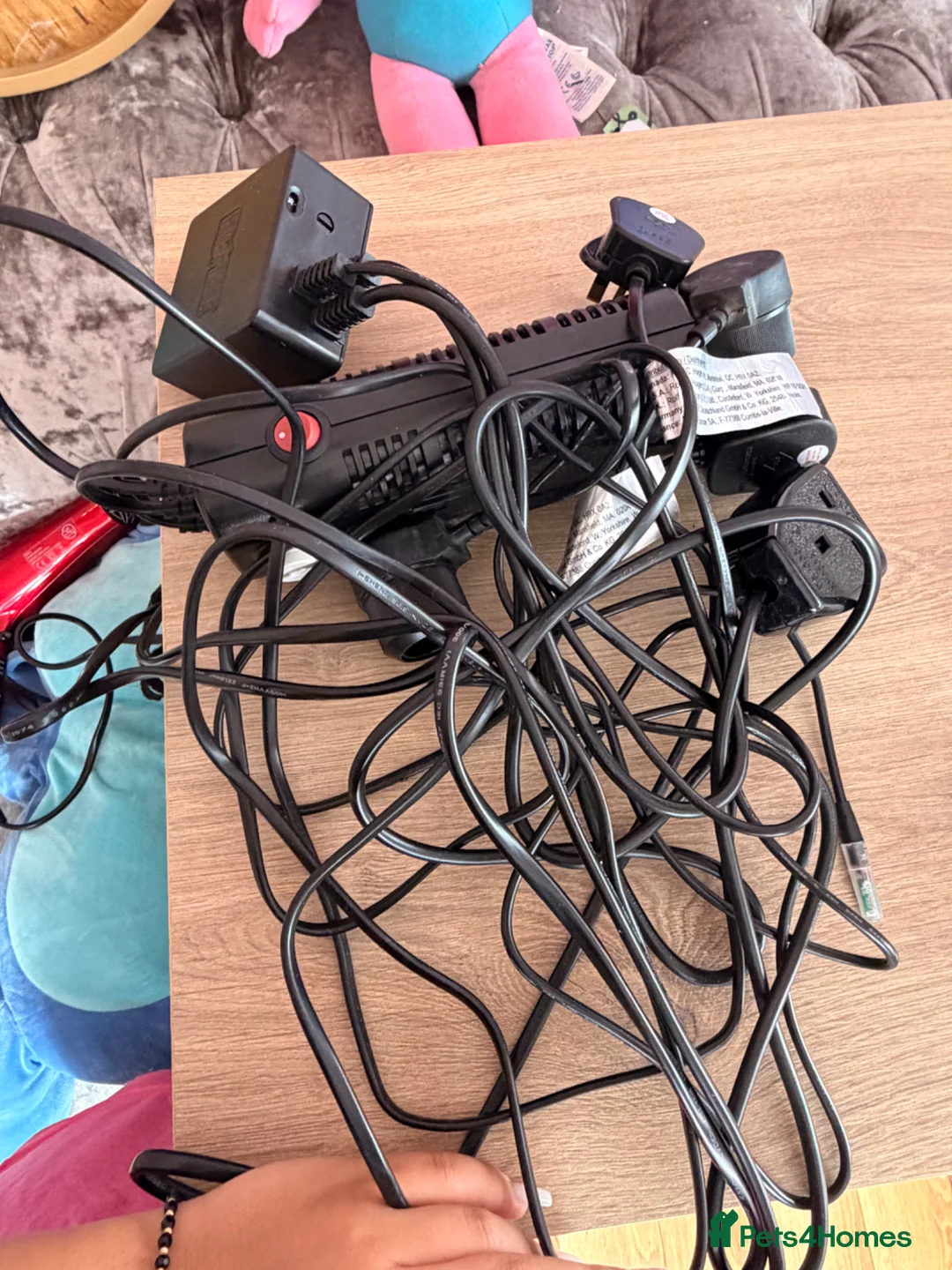 Corn Snake reptiles for sale: 4-month-old corn snake + full setup  in Smethwick - Advert 6