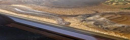 Corn Snake reptiles for sale: 5ft corn snake and viv - Advert 7