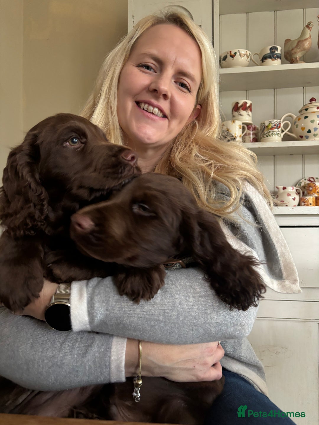 Cocker Spaniel dogs for sale: Beautiful boy remaining Cocker Spaniel Puppies  - Advert 2