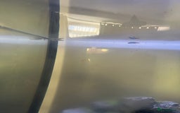 Other/Mixed Breed fish for sale: Fish tank and 4 fish  - Image 3