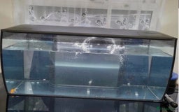 Other/Mixed Breed fish for sale: Fluval Fish Tank 123L - Image 2