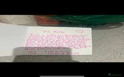 Cavapoo dogs for sale: Beautiful Health Tested F1 Cavapoos 🐶 - Image 31