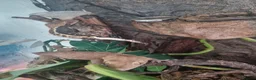Gecko reptiles for sale: Crested geckos  in Ashford - Advert 1