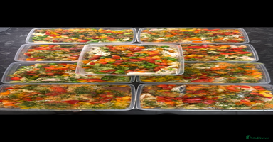 Cavalier King Charles Spaniel dogs DNA health tested, much loved cavaliers - Advert 5