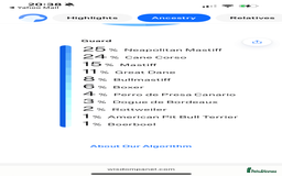 Mixed Breed dogs for sale: Maeve! 3 year old Mastiff - Image 7