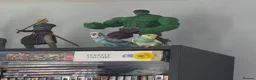 Budgerigars birds for sale: Budgies for rehoming (collection only) - Advert 2