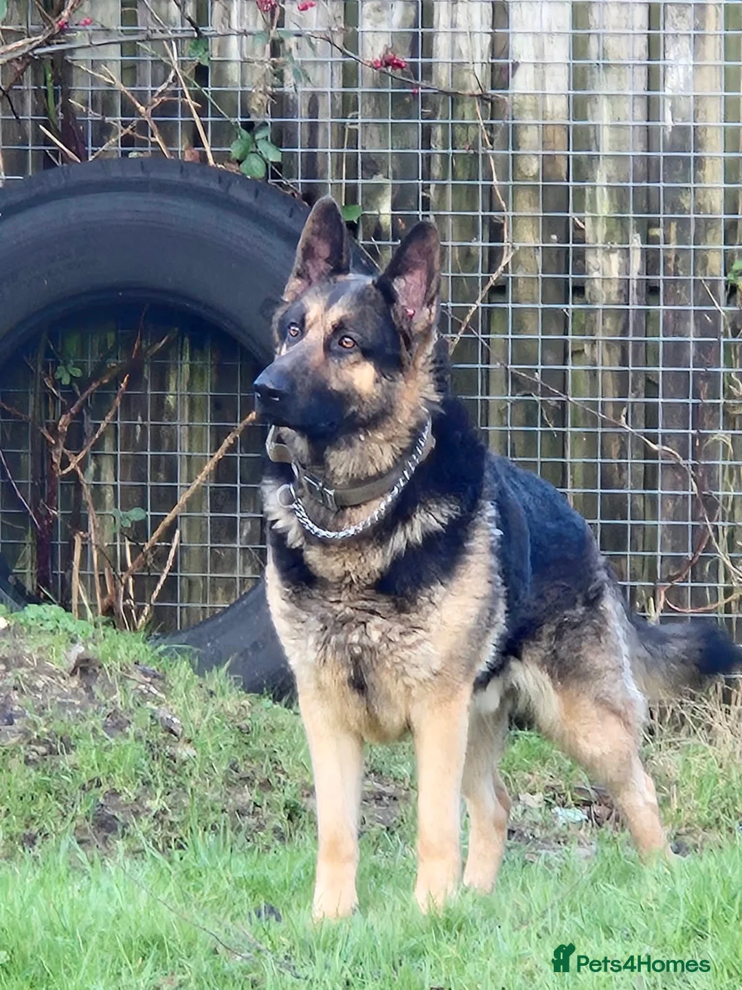 Gallery Image {{count}}