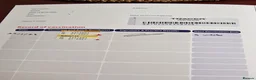 Shih Tzu dogs for sale: 🌸 Beautiful Shih Tzu Girls Available - Advert 13