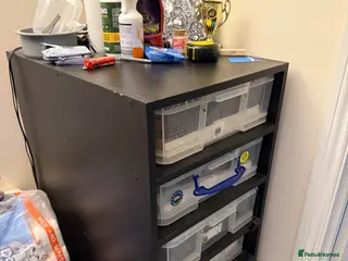 Python Snake reptiles Snake rack and 3 ball pythons - Advert 1