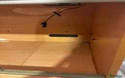 Bearded Dragon reptiles for sale: Complete bearded dragon / vivarium  - Image 6
