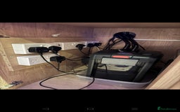 Cichlids fish for sale: Professional tropical aquarium set up - Image 4