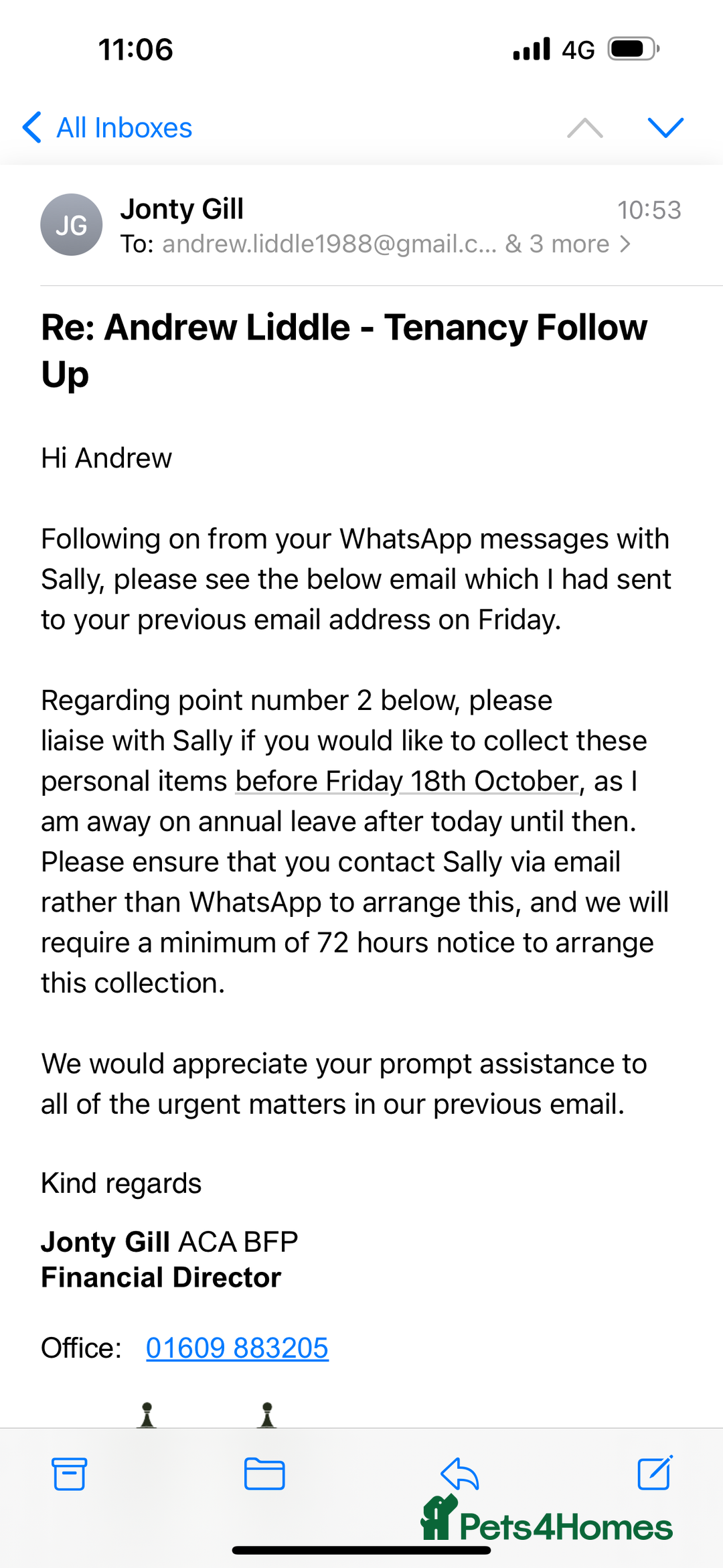 Bedlington Terrier dogs for stud: Bedlington whippet  - Advert 2