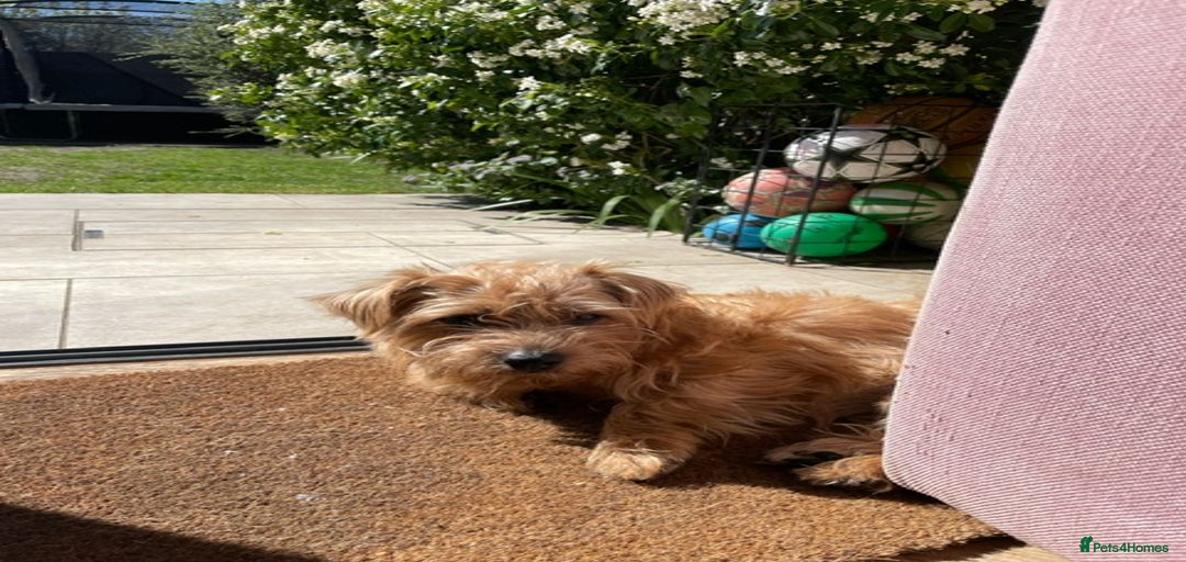 Gallery Image {{count}}