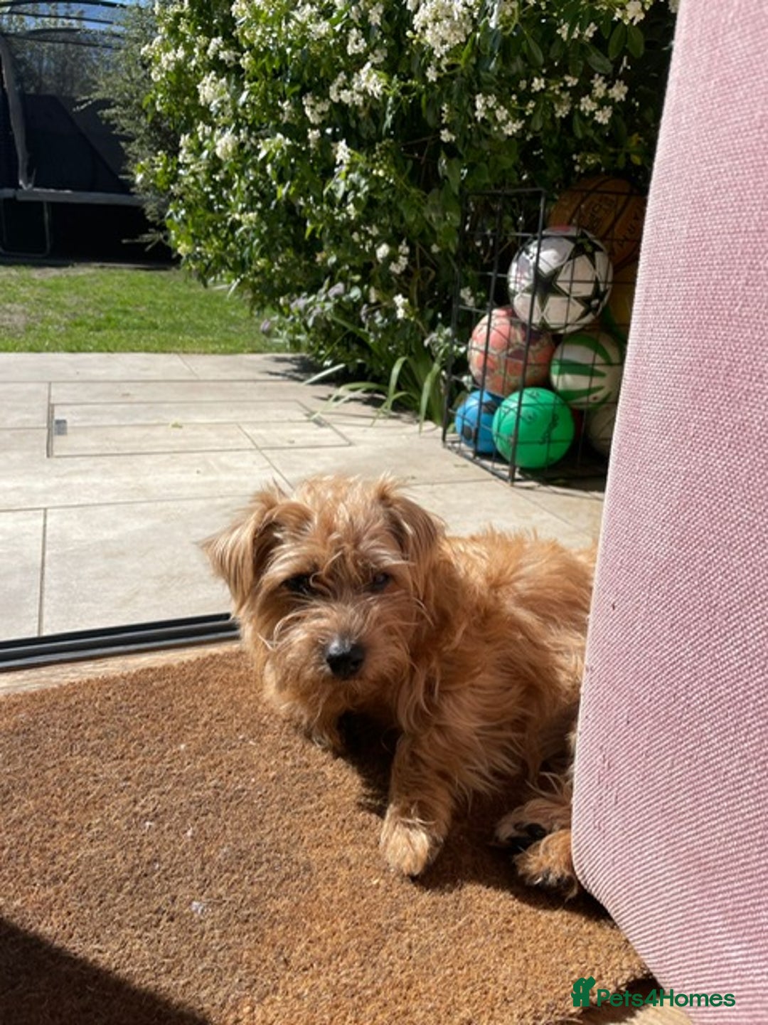 Gallery Image {{count}}