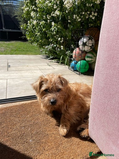 Gallery Image {{count}}