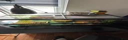 Bearded Dragon reptiles for sale: Zero Morph (RARE) Bearded Dragon in Ossett - Advert 12