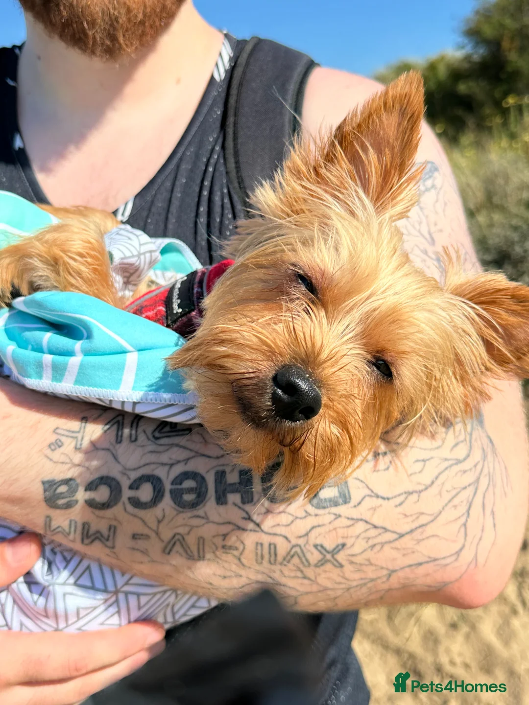 Gallery Image {{count}}