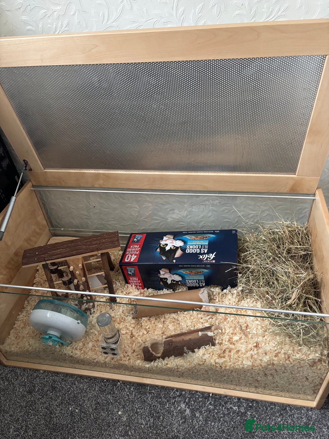 Gerbil rodents for sale: Gerbil for sale  - Image 4