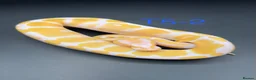 Snake reptiles for sale: Hatchling ball/royal pythons  - Advert 10