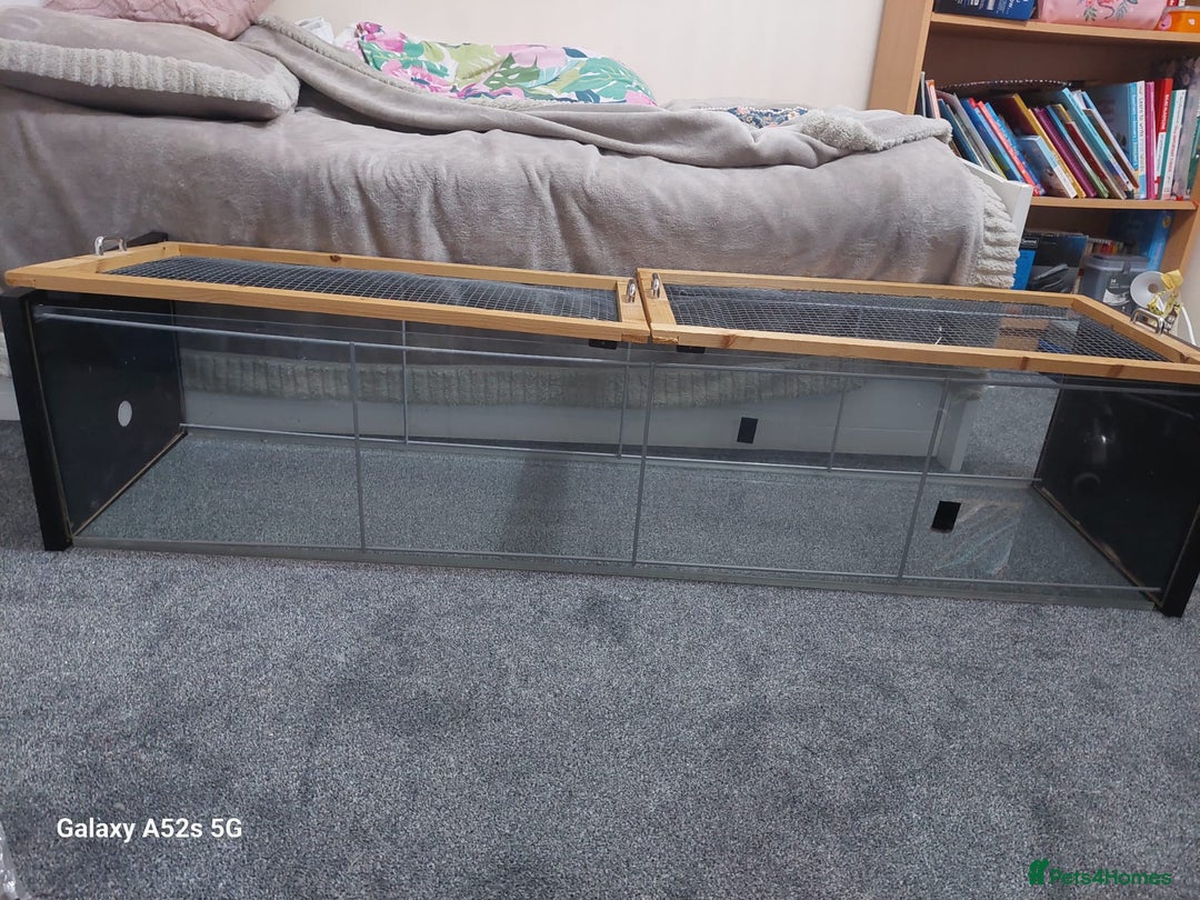 Hamster rodents for sale: HAMSTER CAGE! - Image 1