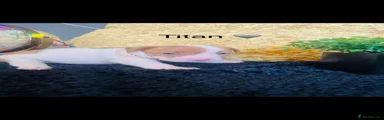 Titan 