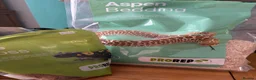 Mixed Breed reptiles for sale: Different reptiles for sale - Advert 11