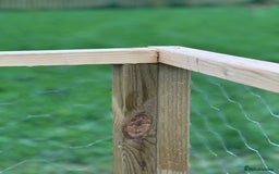 Chickens poultry for sale: Chicken Coops - excellent quality - British Made - Image 16