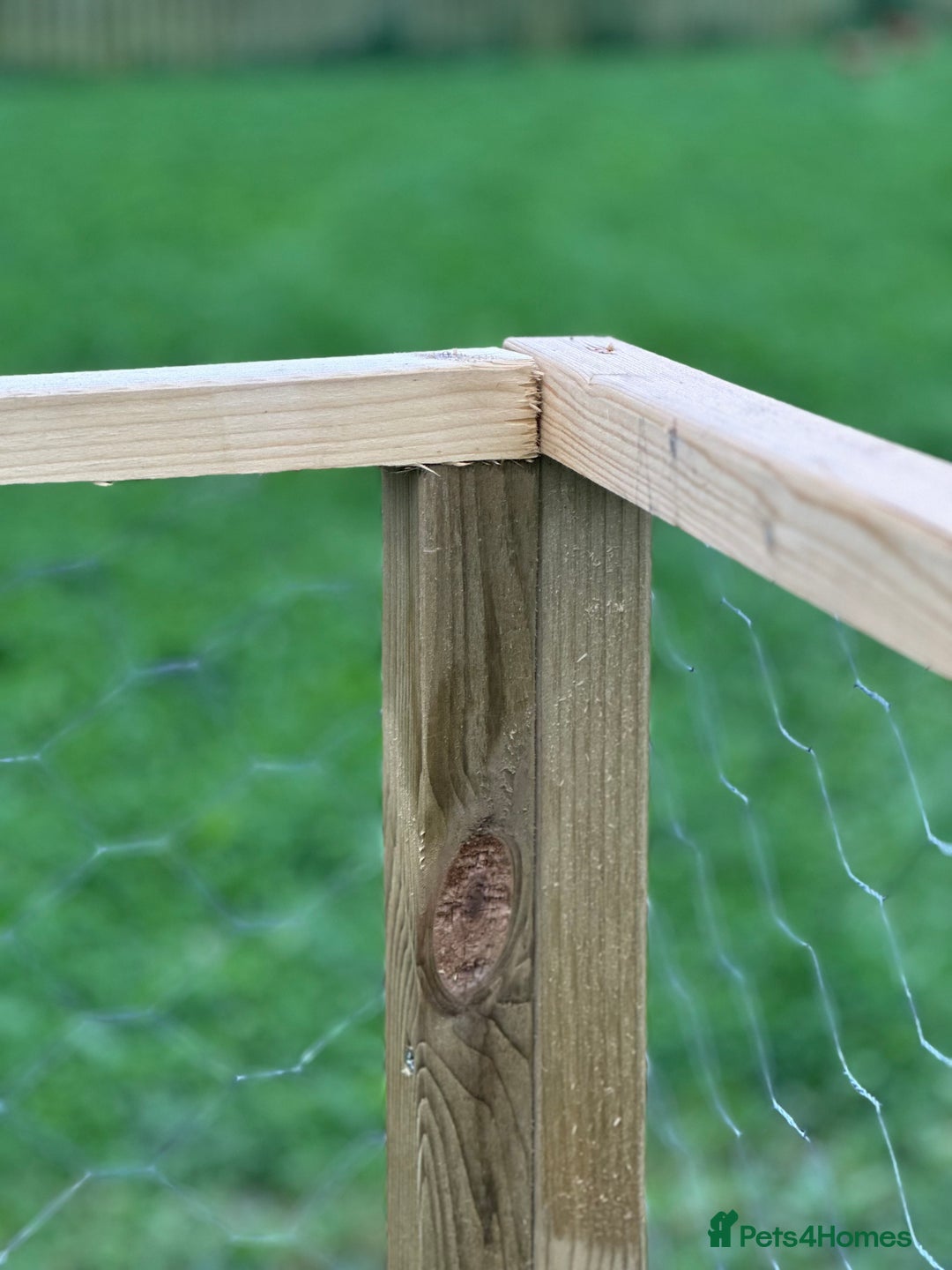 Chickens poultry for sale: Chicken Coops - excellent quality - British Made - Image 16