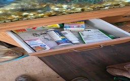 Koi Carp fish for sale: Fish tank and fish - Advert 5