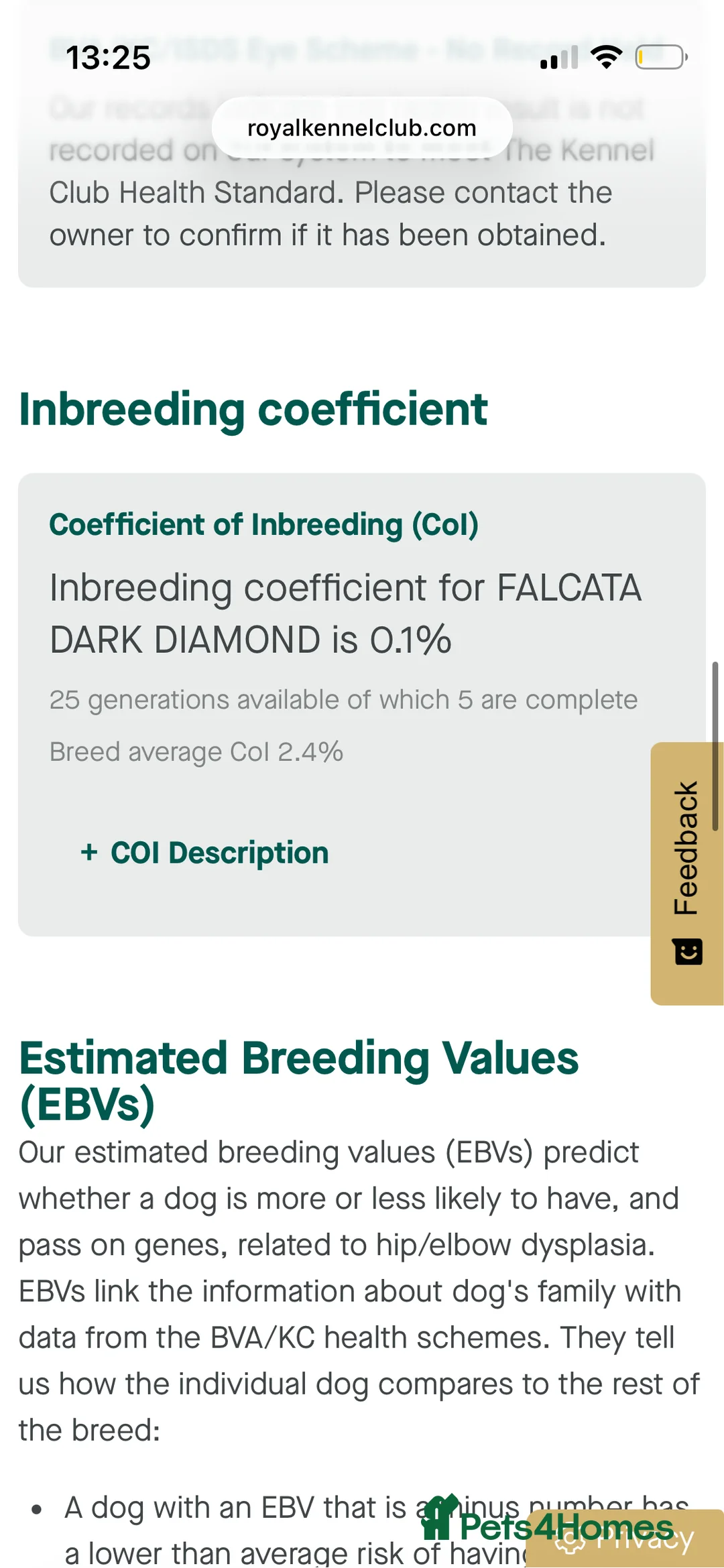 German Shepherd dogs for stud: Beautiful Fully health tested German shepherd stud - Advert 10