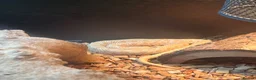 Snake reptiles for sale: Snake Hognose - Advert 5