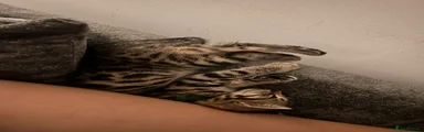 Green collar
