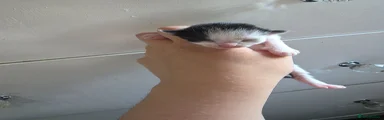 Tux girl 