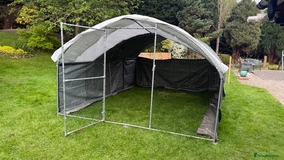 Chickens poultry for sale: COST £190 4M X 3M QUALITY CHICKEN OR POULTRY PEN  - Advert 2