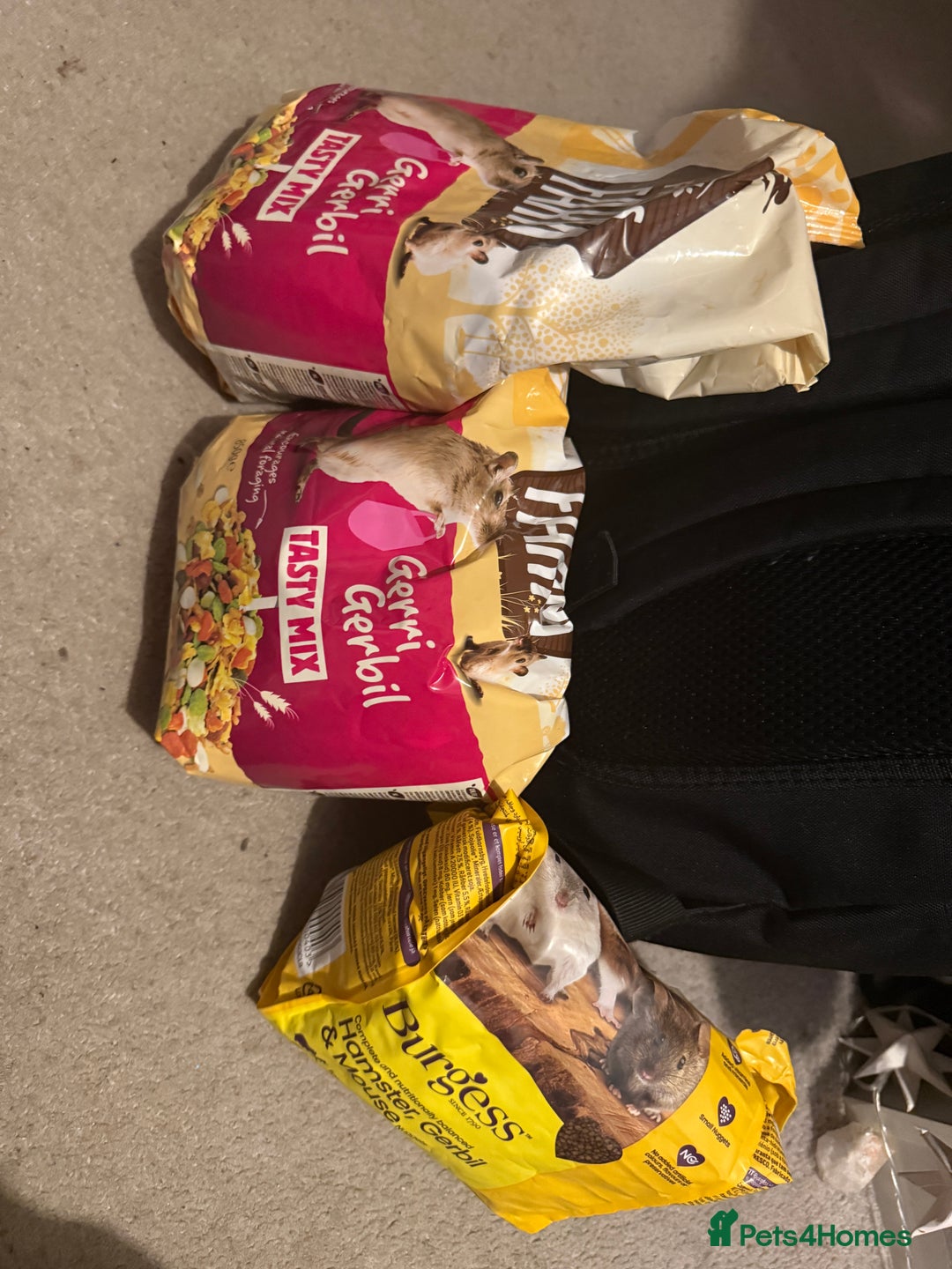 Gerbil rodents for sale: 2 gerbils female and food - Advert 5