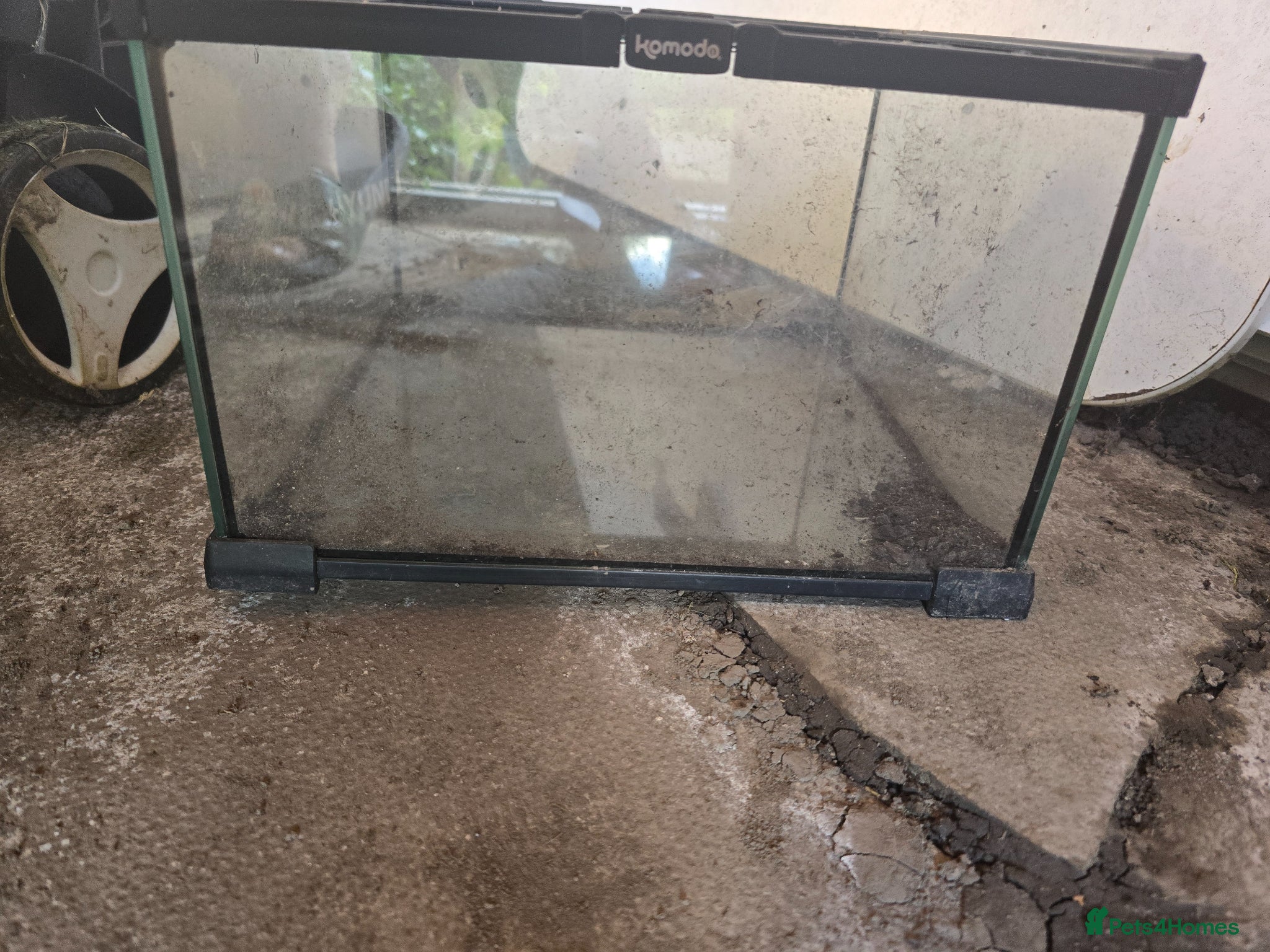 Mixed Breed reptiles for sale: Reptiles, Tarantulas & Enclosures for Sale in Bradford - Advert 20