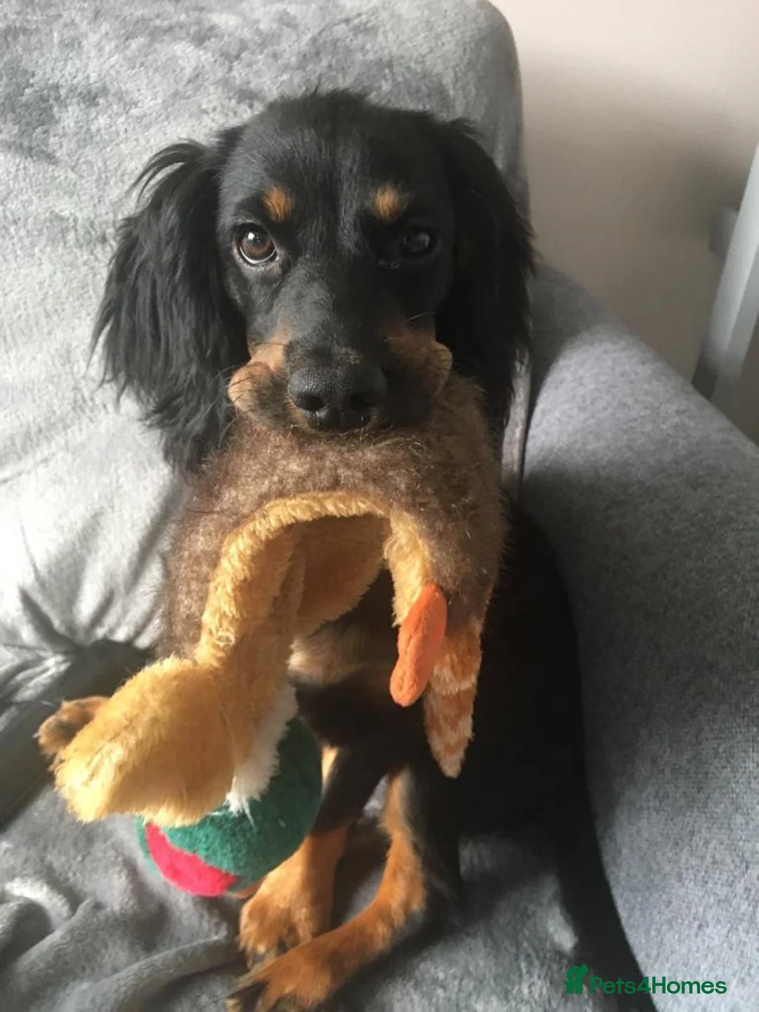 Gallery Image {{count}}