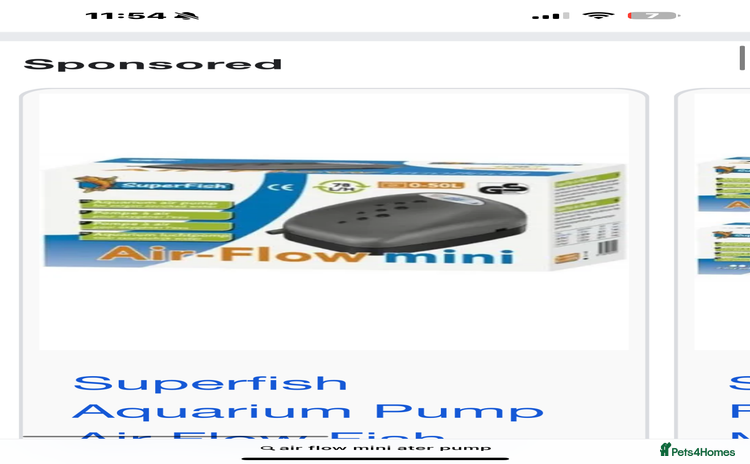 Goldfish fish - Advert 1