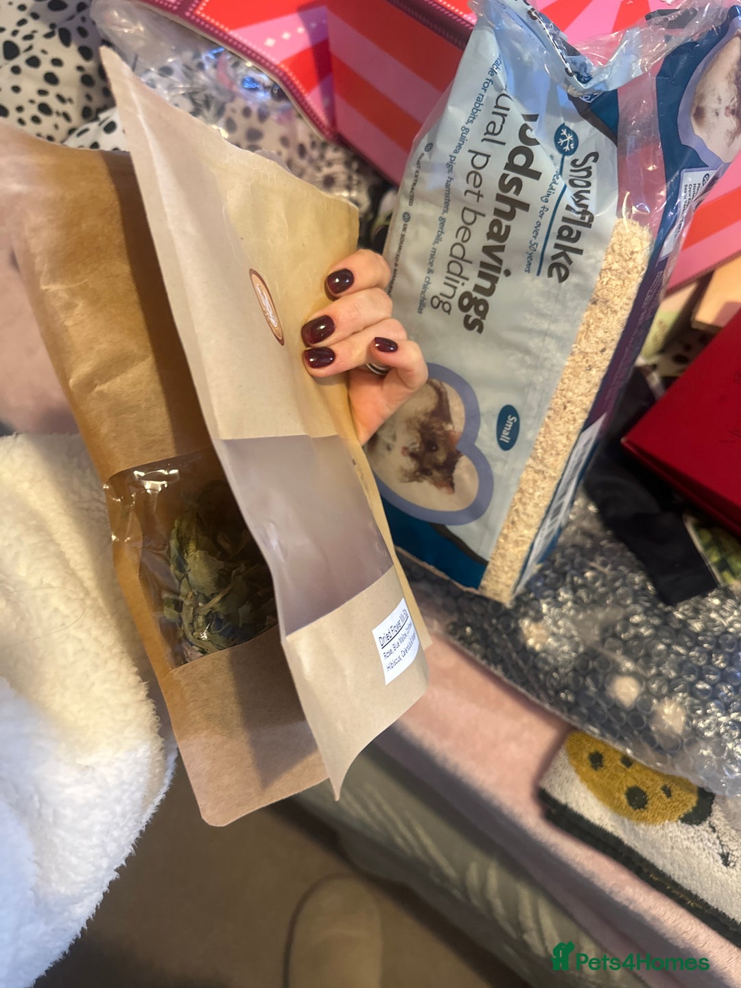 Hamster rodents for sale: Syrian hamster + cage + food + toys  - Advert 4