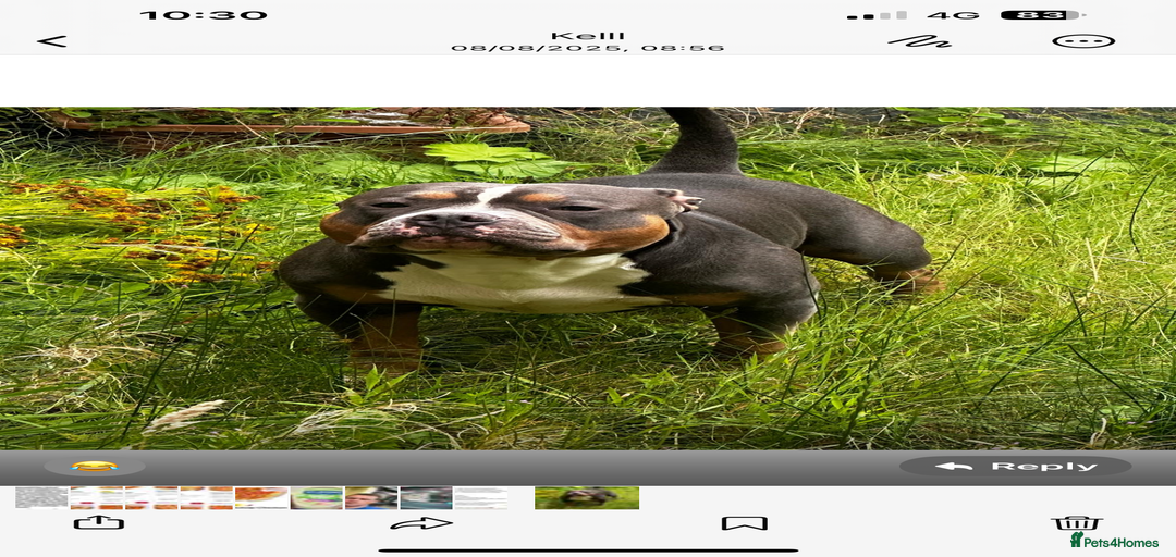 Gallery Image {{count}}