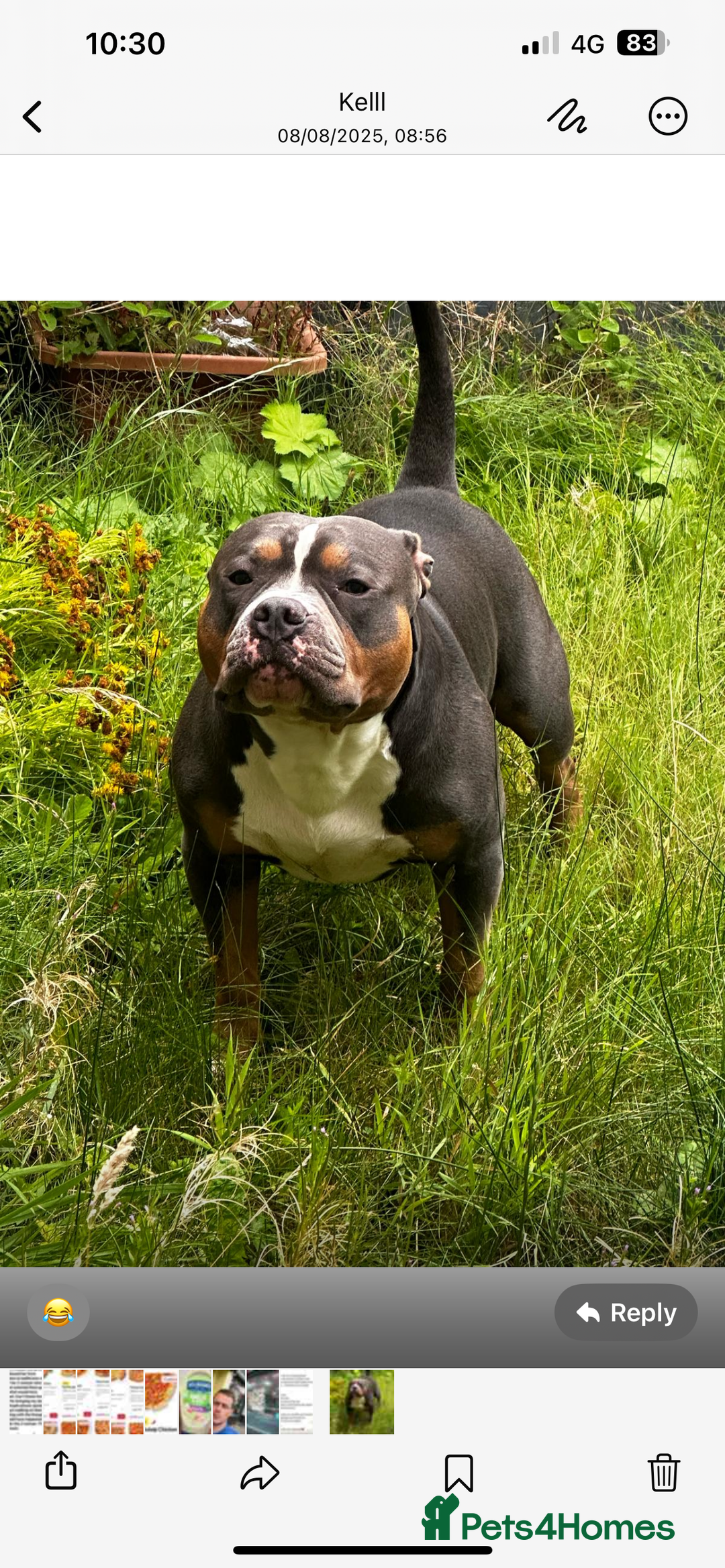 Gallery Image {{count}}